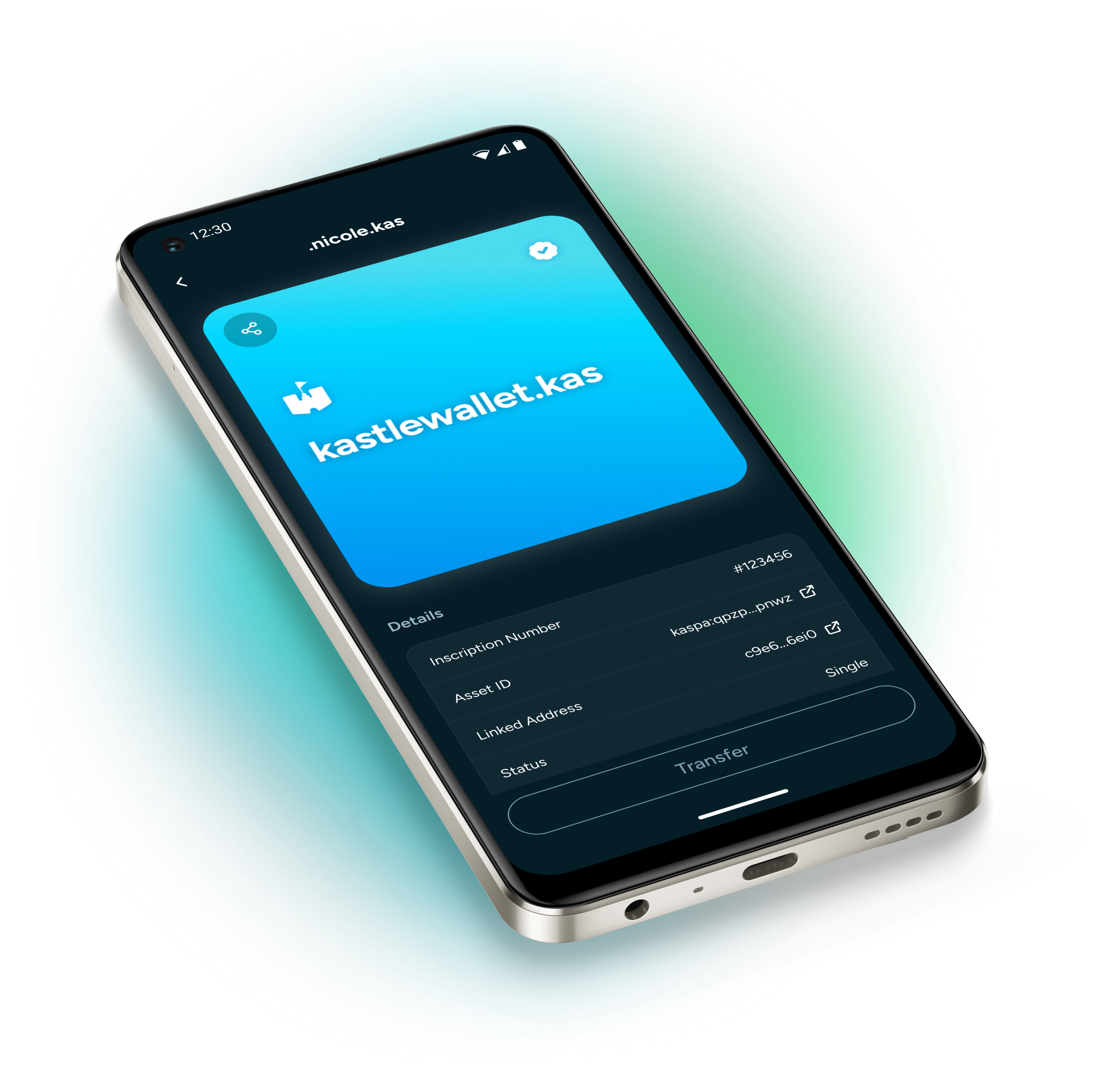 Kastle – Fast & Secure Kaspa Wallet